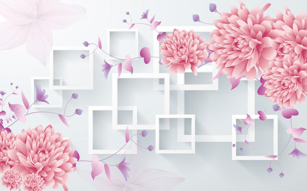 Очертания в астрах